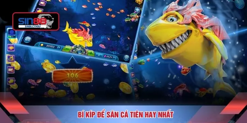 Bí kíp để săn cá tiên hay nhất