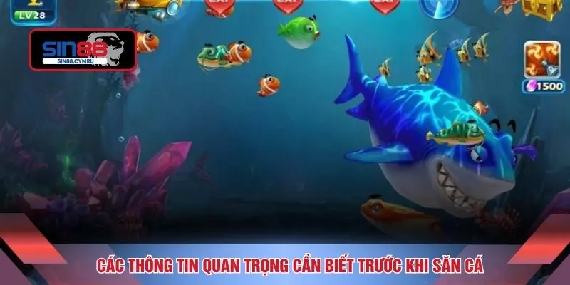 Các thông tin quan trọng cần biết trước khi săn cá