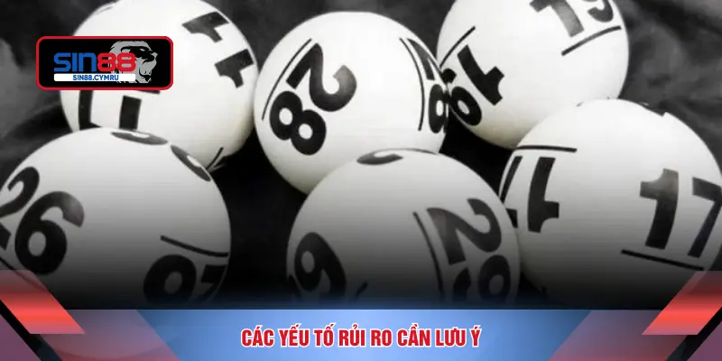Các yếu tố rủi ro cần lưu ý