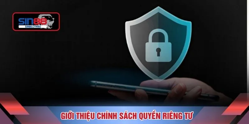 Giới thiệu chính sách quyền riêng tư