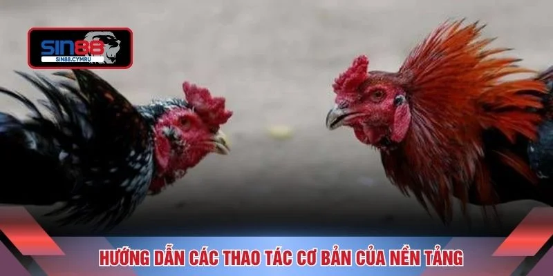Hướng dẫn các thao tác cơ bản của nền tảng