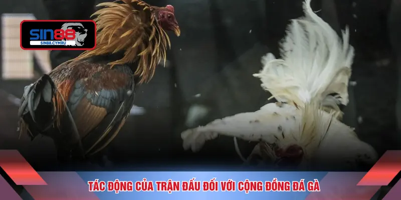 Tác động của trận đấu đối với cộng đồng đá gà