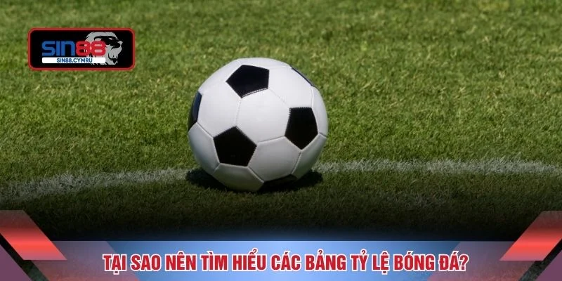 Tại sao nên tìm hiểu các bảng tỷ lệ bóng đá?