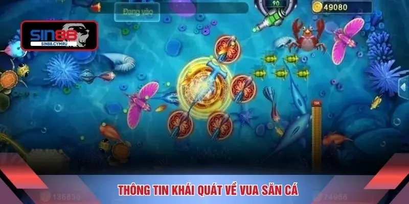 Thông tin khái quát về vua săn cá