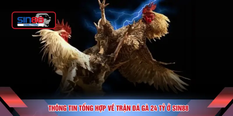 Thông tin tổng hợp về trận đá gà 24 tỷ ở SIN88