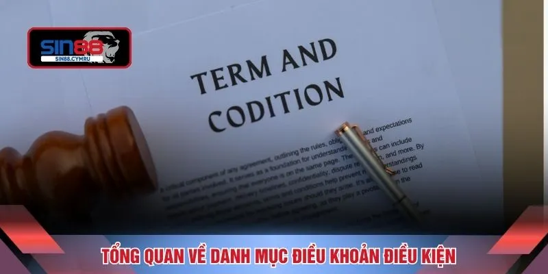 Tổng quan về danh mục điều khoản điều kiện
